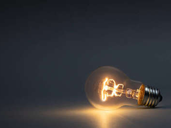 Vnice Light Trading
