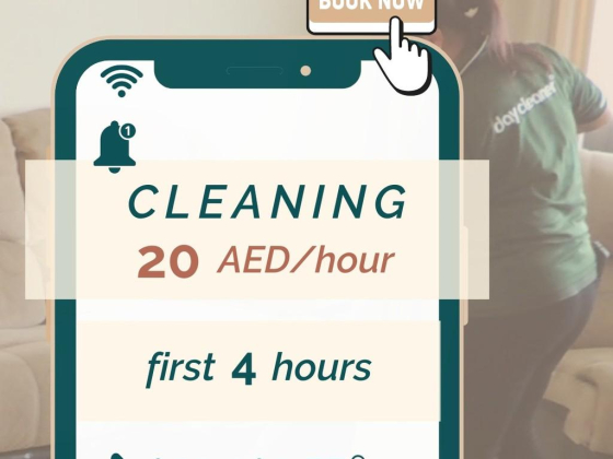 Day Cleaner Services