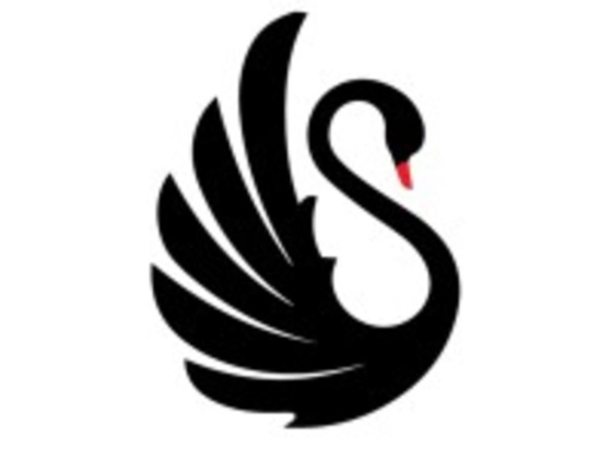 Black Swan Business Center