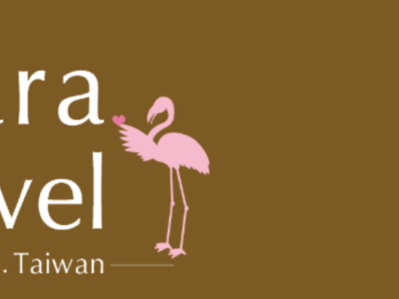 Clara Travel & Tourism L.l.c