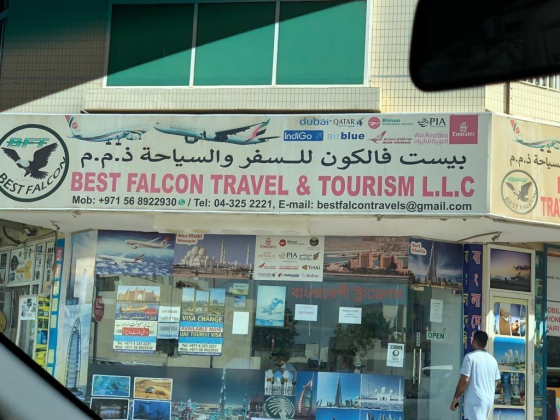 Best Falcon Travel & Tourism