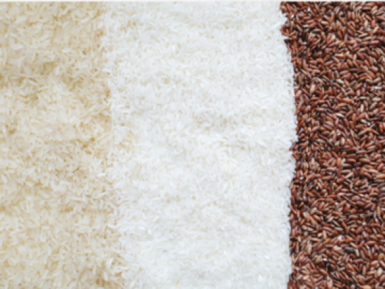Nayab Moin Foodstuff Trading