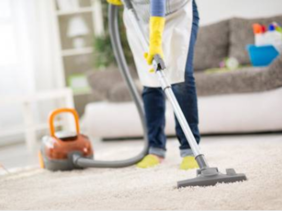 Whiskers Infracare Cleaning Services