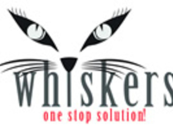 Whiskers Infracare Cleaning Services
