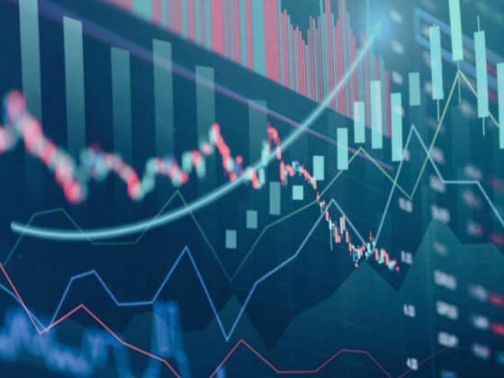 Golden Shad General Trading