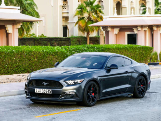 Al Wajaha Rent Car