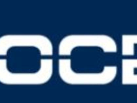 Voce International Constructions