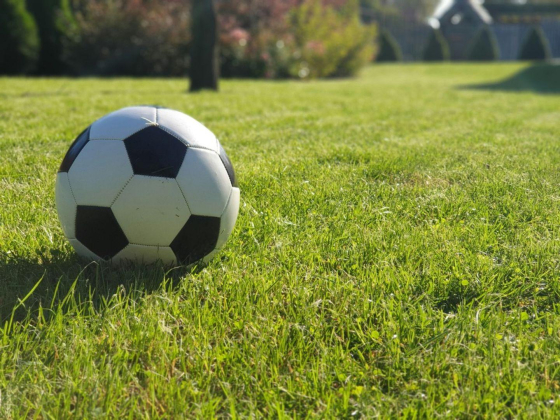 Asi Sports Contracting
