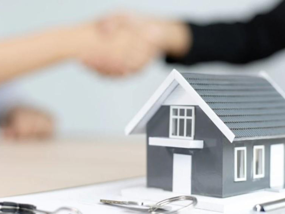 Mantra Properties And Developers Private Office