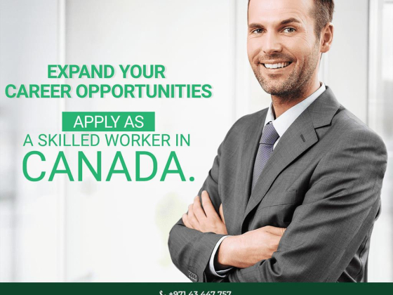 Dm Immigration Consultants