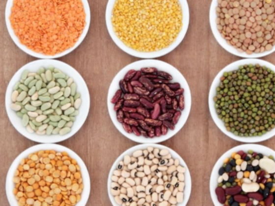 Ansari Brothers General Trading