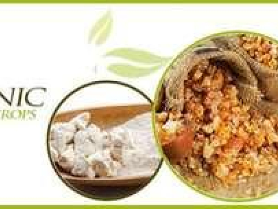 Organic Crops Gum & Glue Trading