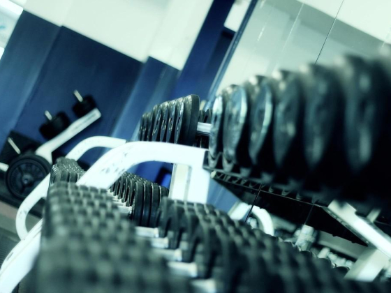 Level X Gym