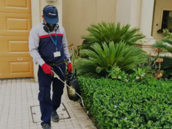 Wipe Out Public Health Pests Control Services