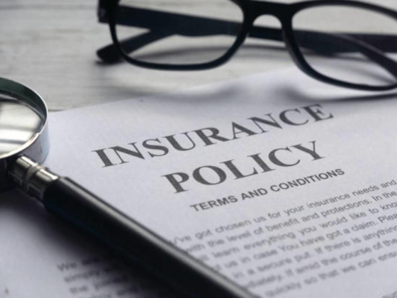 UNITED FIDELITY INSURANCE COMPANY - DUBAI BRANCH