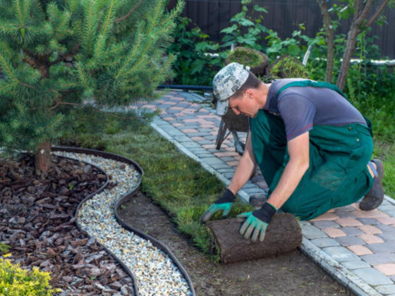 Fvision Landscaping