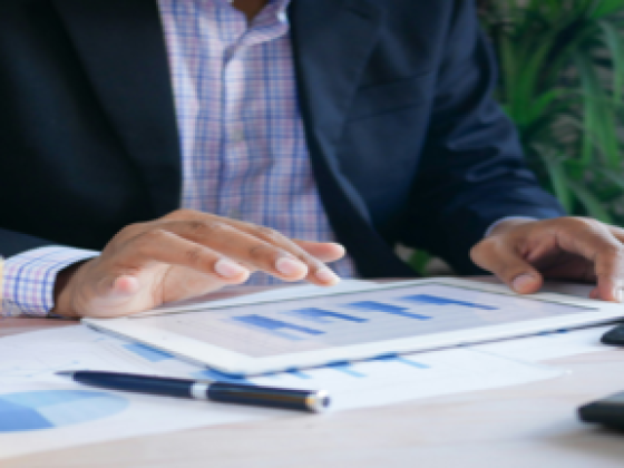 Frg Global Consultant